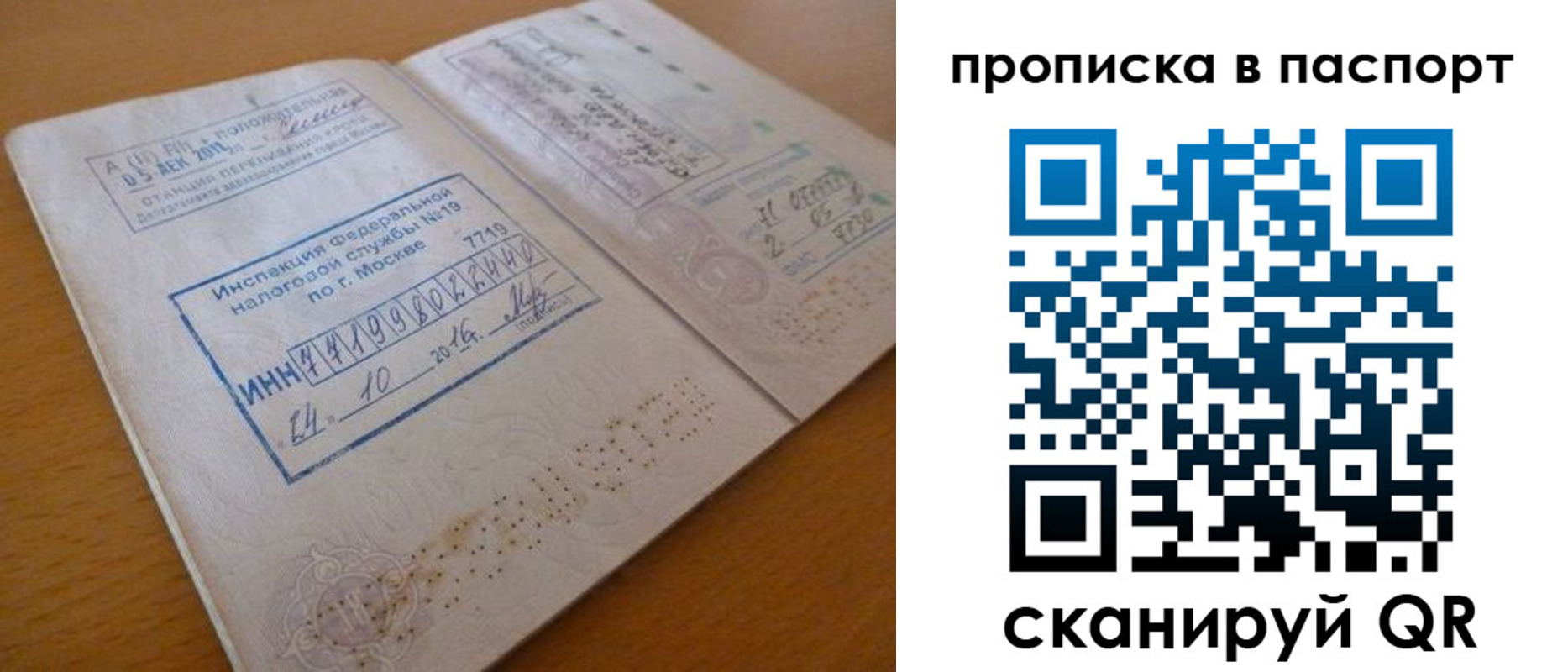 купить прописку в Елизово